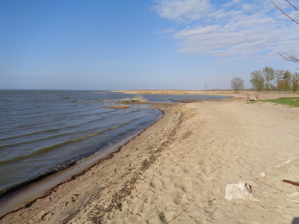 Suchacz - kwiecień 2016