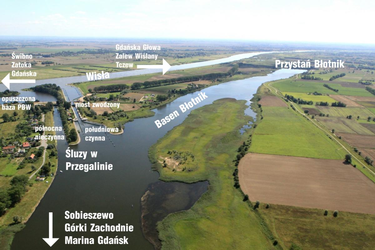 Cedry Wielkie - Błotnik