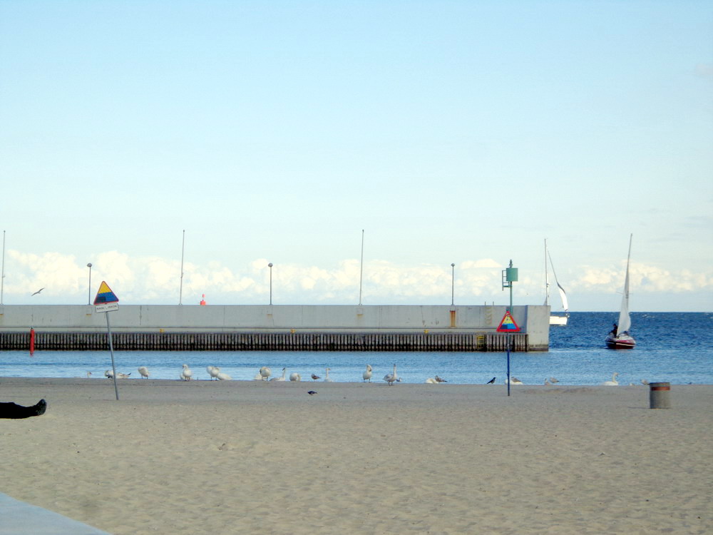 Gdynia Marina – fot. Piotr (maj 2014)