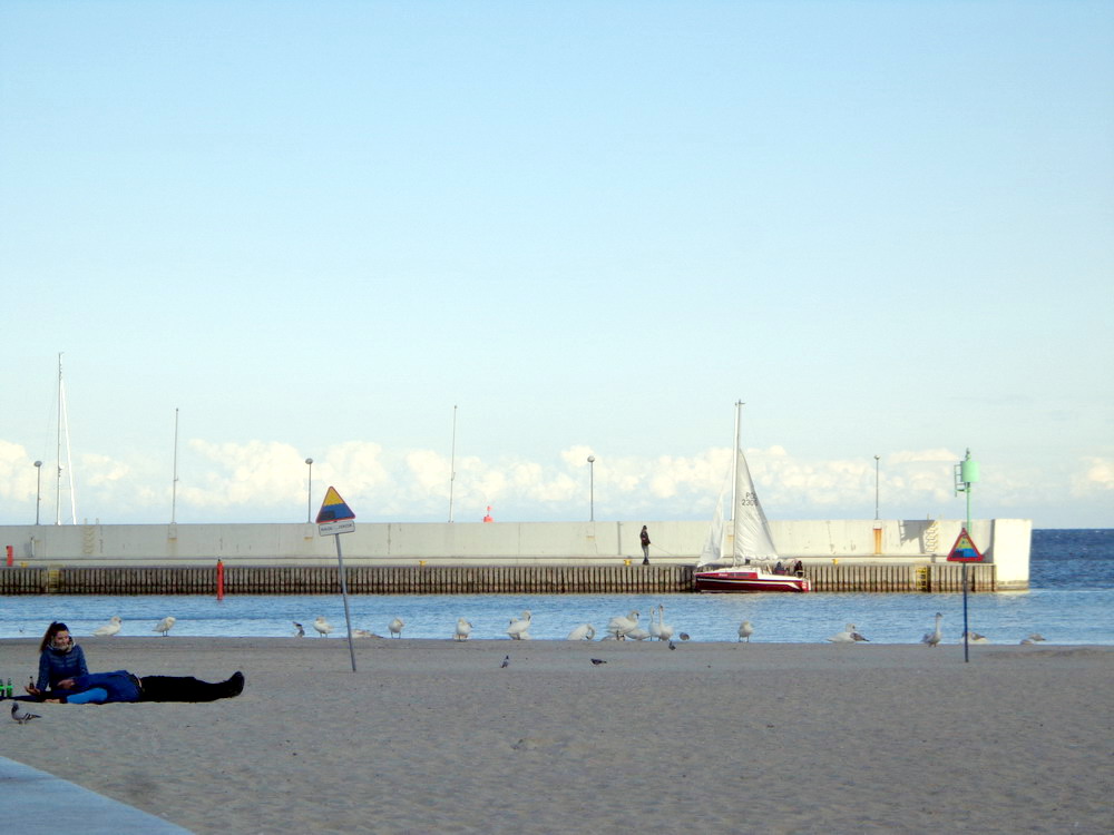Gdynia Marina – fot. Piotr (maj 2014)
