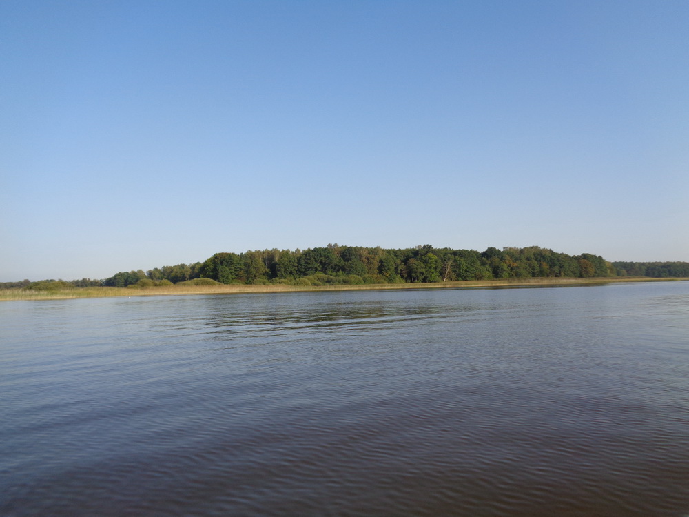 Bukowiec