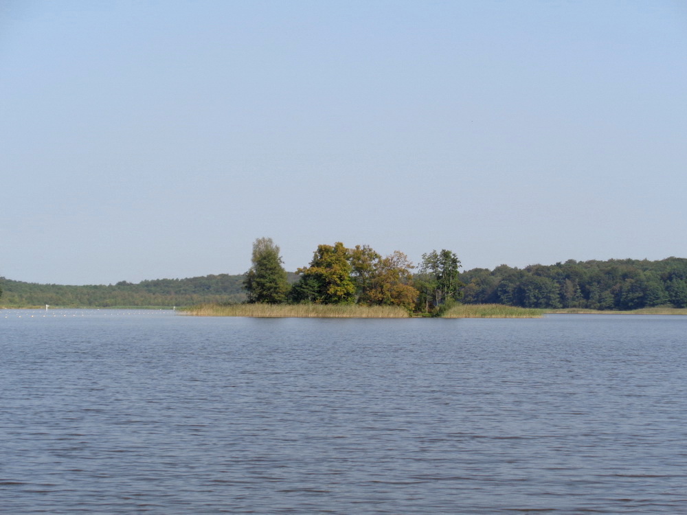 Żuławka (wyspa)