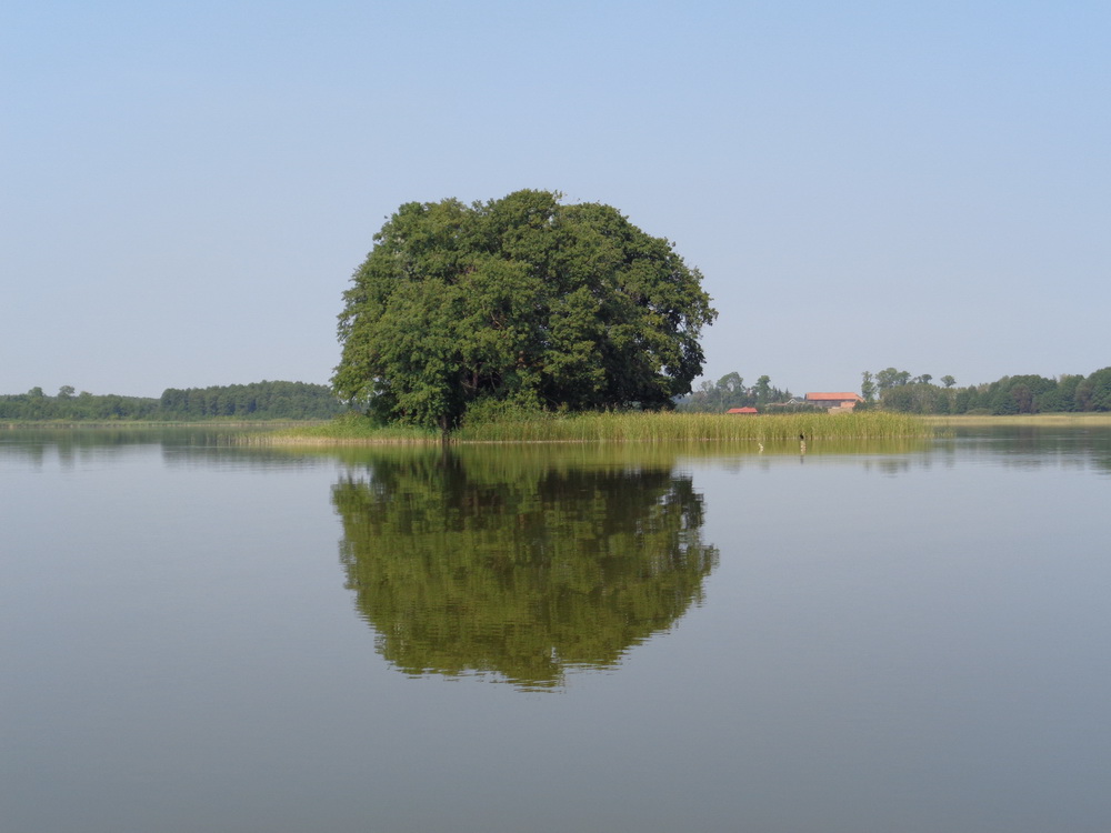 Wyspa koło Stodółki - Płaskie