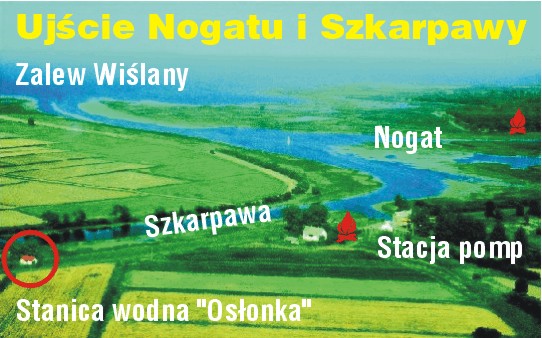ujscienogatuiszkarpawyzlotuptaka_1