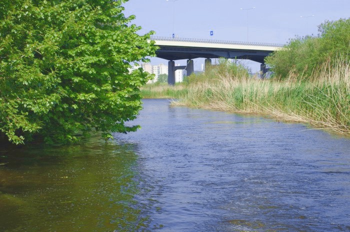 Fiszewka